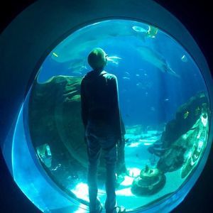 Meet your Posher, Leland